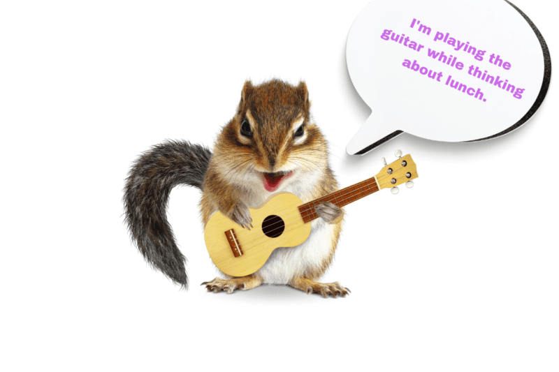 Squirrel playing the guitar while thinking about lunch.