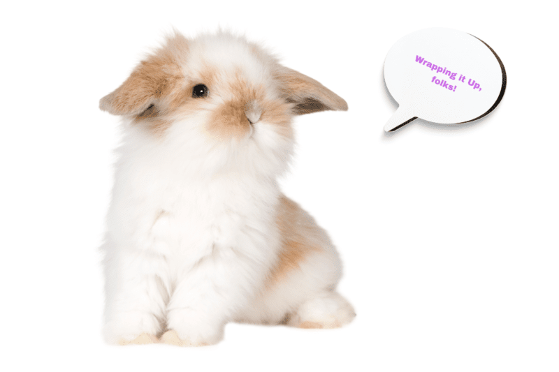 Cute fluffy white rabbit ending the article with the title: Do you put a comma before "as a result."
