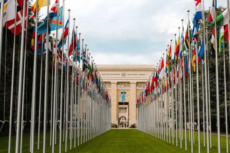A shot of the UN building with multiple countries' flags