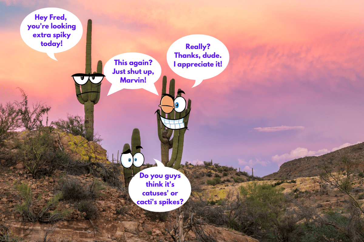 Three cacti against a sunset backdrop with cartoon expressions talking about whether it’s cactuses’ or cacti’s spikes.