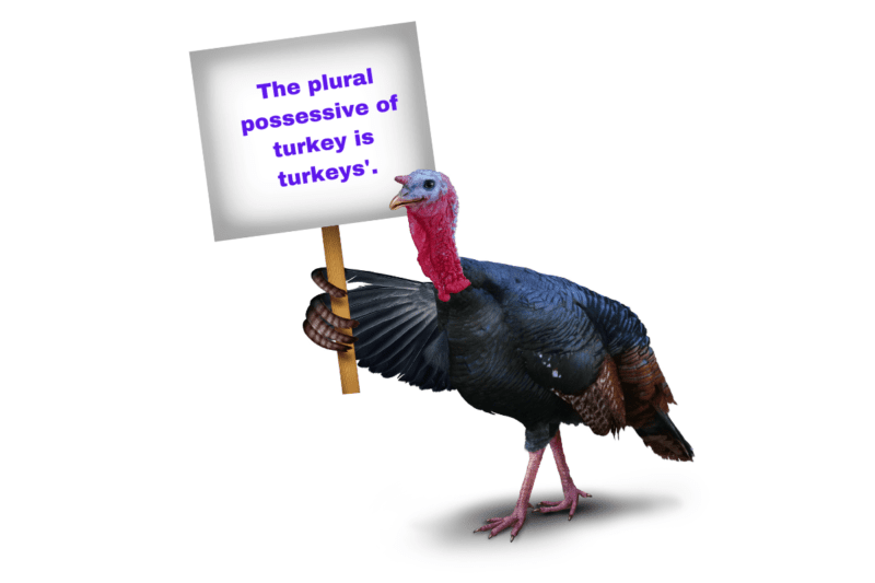 A turkey holding a sign saying the plural possessive form of turkey is turkeys'.