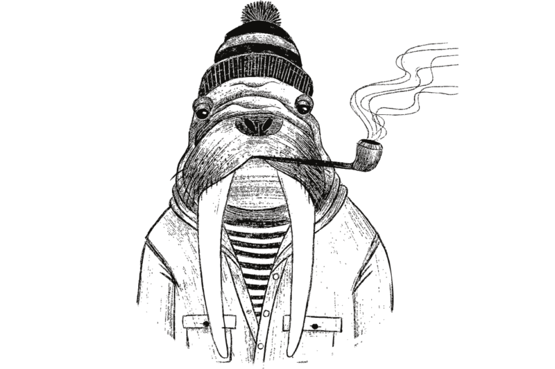 A drawing of a walrus with a hat and jacket on smoking a pipe.