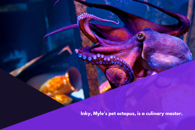 An octopus in a tank.